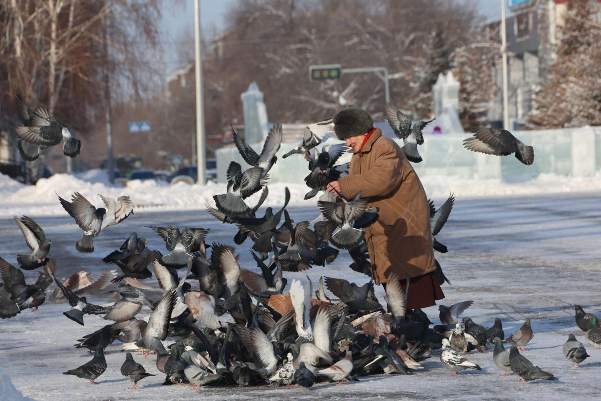 Хлебные крошки птицам можно