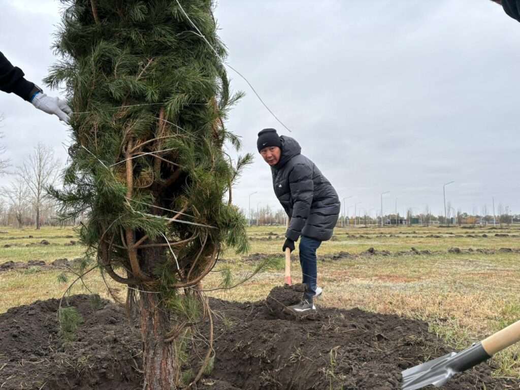 Общегородской субботник проходит в Костанае