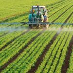 Пострадавших от деятельности от действий ТОО «ДостыкЖерАгро», ТОО «ДостыкХимАгро», ТОО «Карамай Агро», ИП «ДостыкСервис» ищут в Костанайской области