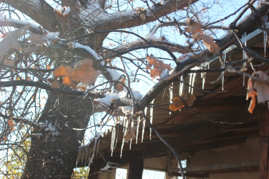 Сад, огород. Предзимье