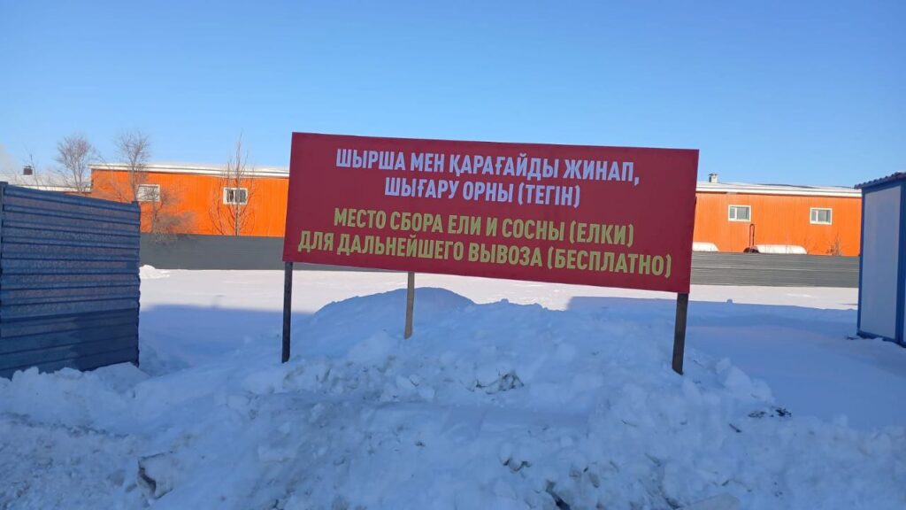 В Костанае организованы специальные площадки для сбора новогодних ёлок