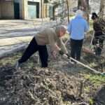Аллеи и улицы привели в порядок во время городского субботника в Костанае
