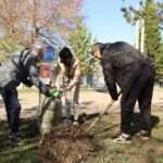 В Костанайской области активно поддержали экологическую акцию «Таза аула»
