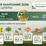 Что нужно знать о весенне-полевых работах в Костанайской области?
